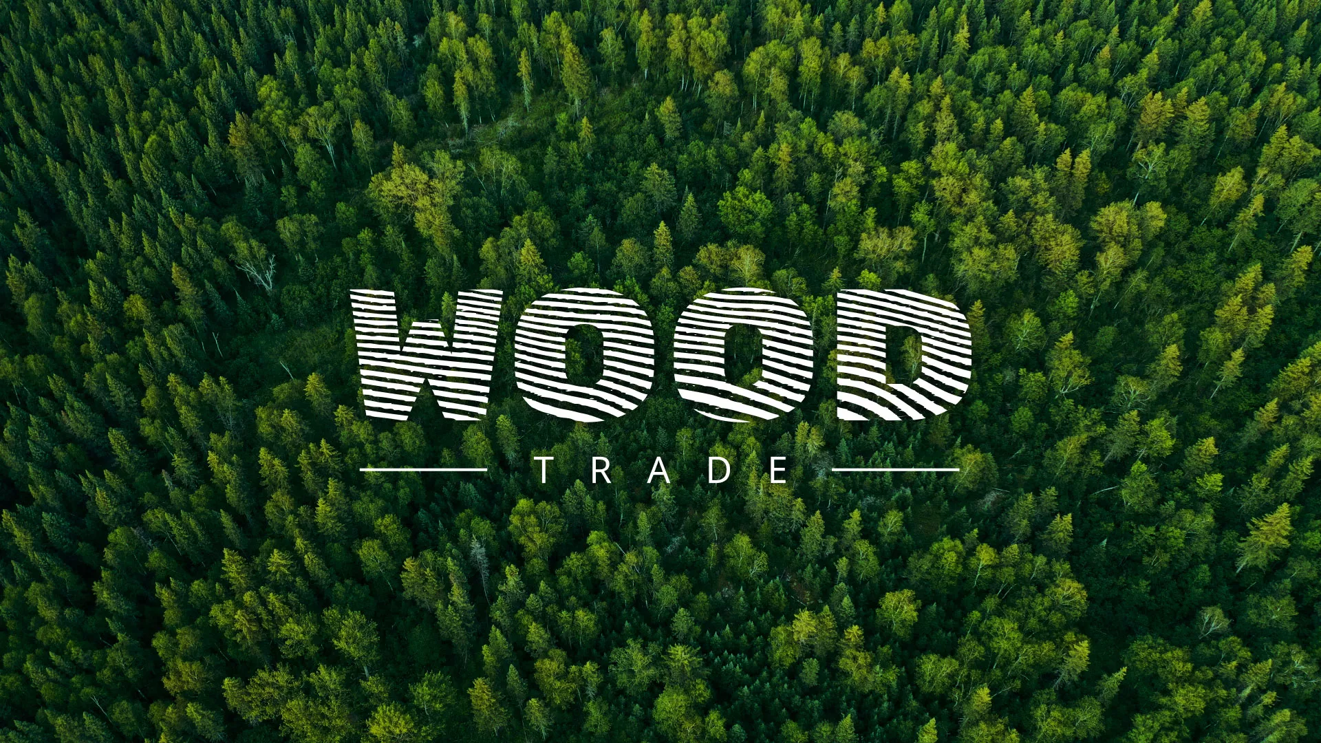 Разработка интернет-магазина компании «Wood Trade» в Невельске